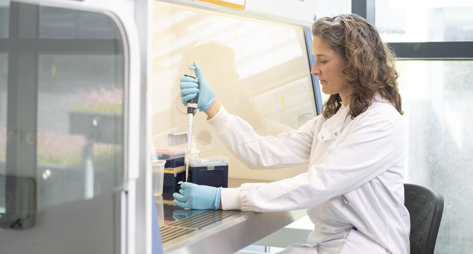 A researcher carrying out an experiment in the lab