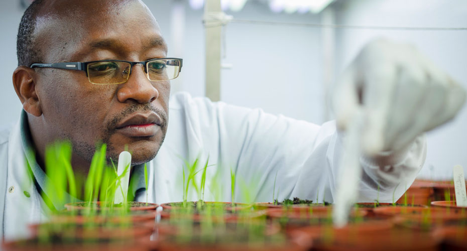 Close up of a researcher wearing a lab coat and gloves, labelling plant samples